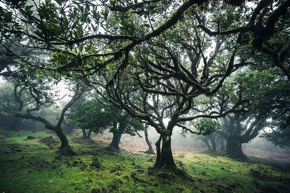 Visit Portugal — Walking Routes